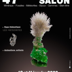 Affiche du 47ᵉ Salon MinéralExpo Mulhouse, exposition de minéraux, fossiles, météorites, gemmes et bien-être les 10 et 11 janvier 2026 au Parc Expo Mulhouse